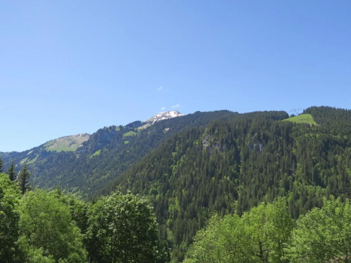Appart Spacieux A Chatel Avec Parking - 4 Pers, Balcon, Tv, Cuisine Equipee - Fr-1-198-112
